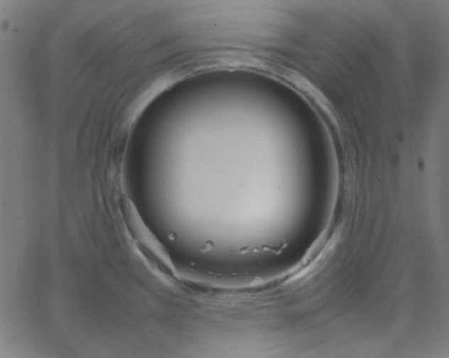 X0000067931385200604271958