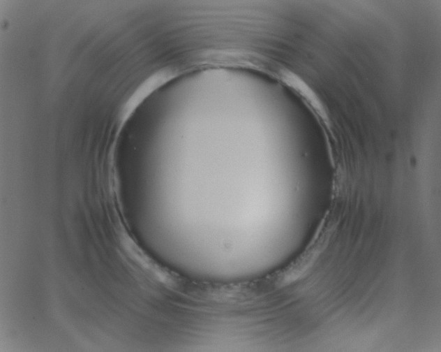 X0000067931386200604271958