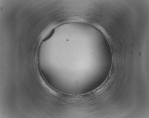 X0000067931387200604271958