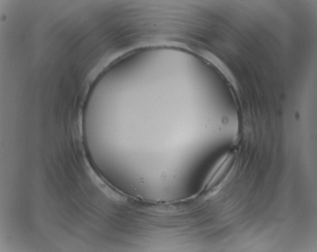 X0000067931388200604271958