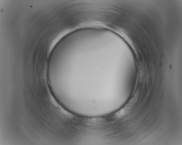 X0000067931390200604271957