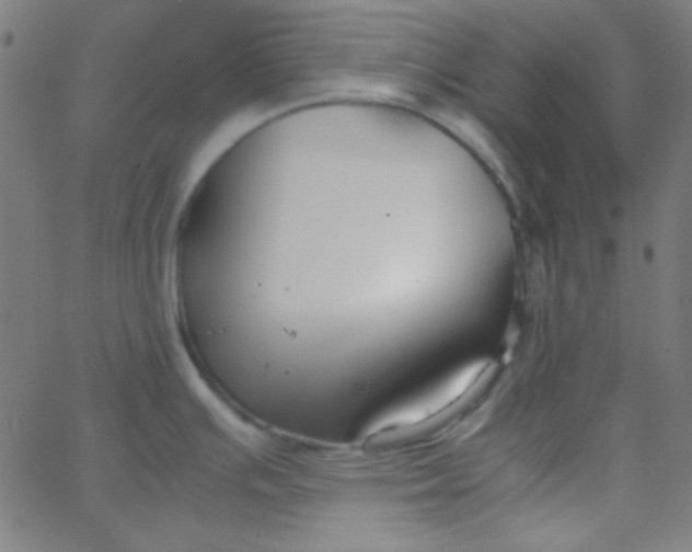 X0000067931391200604271957