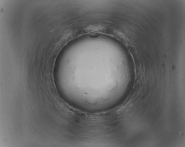 X0000067931393200604271957