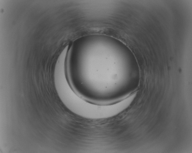 X0000067931394200604271957