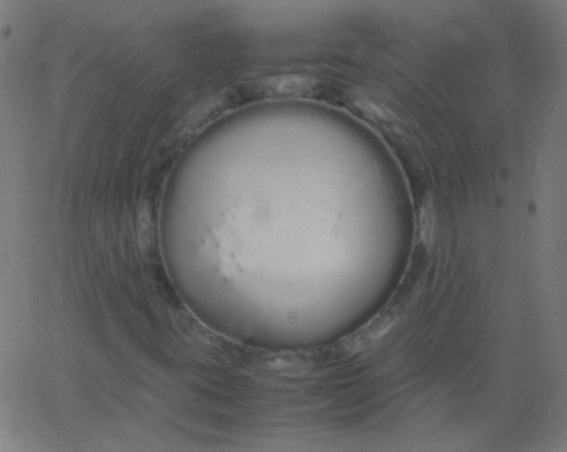 X0000067931395200604271957