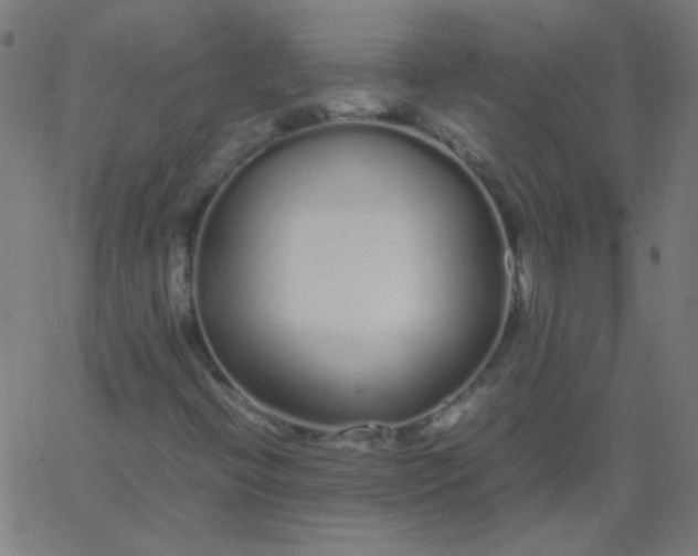 X0000067931396200604271957