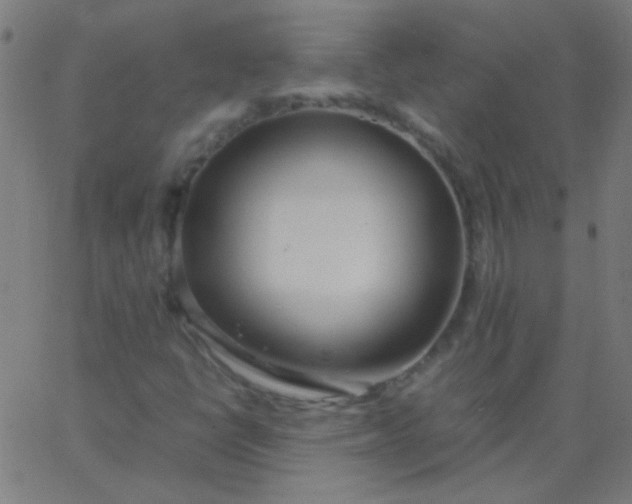 X0000067931398200604271957