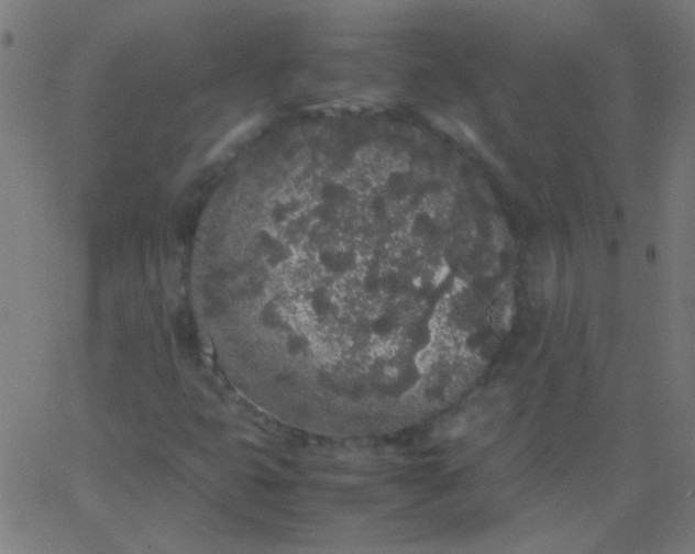 X0000067931399200604271957