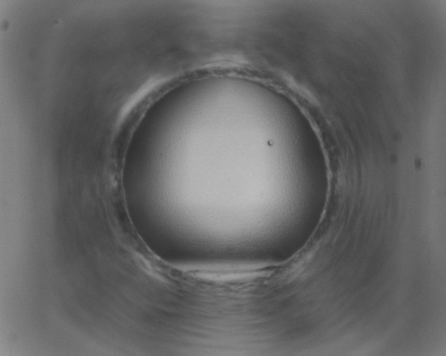 X0000067931400200604271957