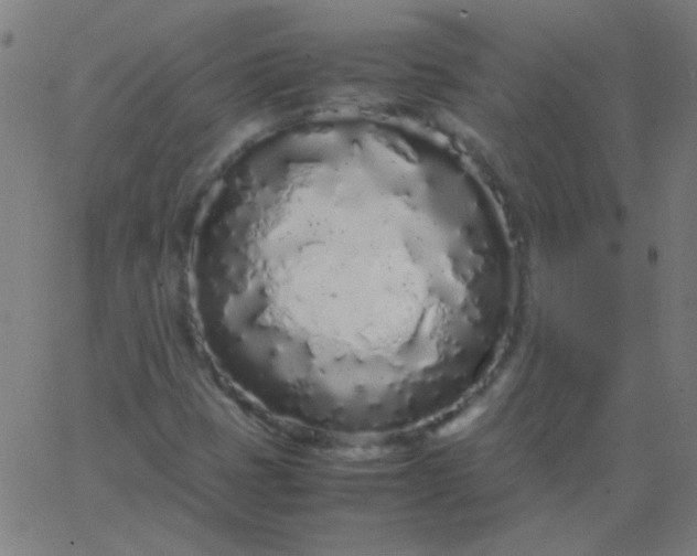 X0000067931401200604271957