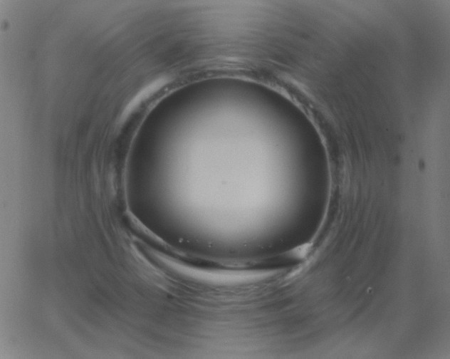 X0000067931402200604271957