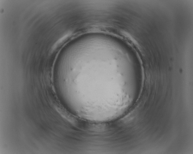 X0000067931403200604271957