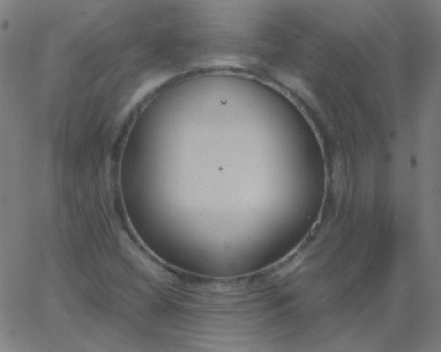 X0000067931404200604271957