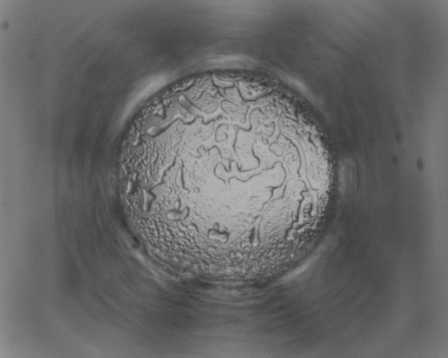 X0000067931405200604271957