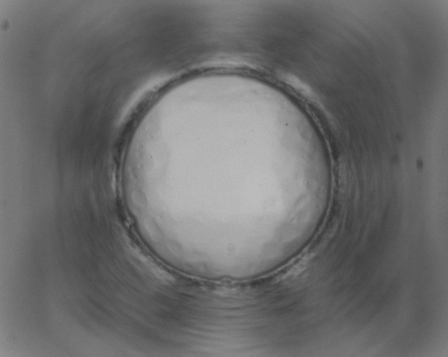 X0000067931408200604271957