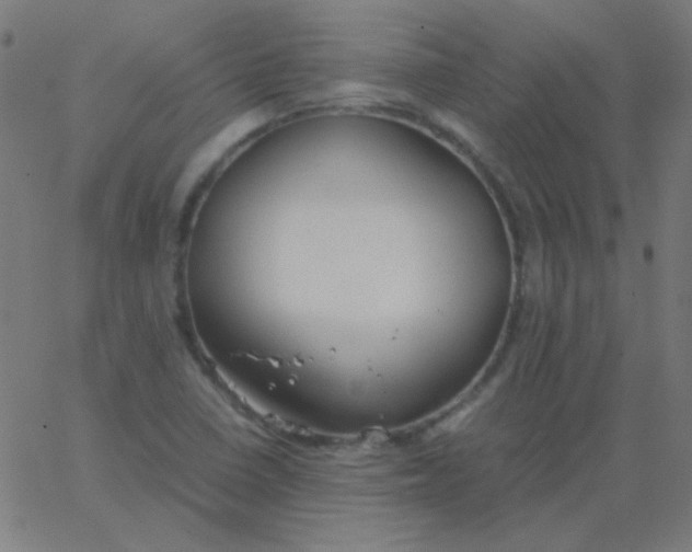 X0000067931410200604271957