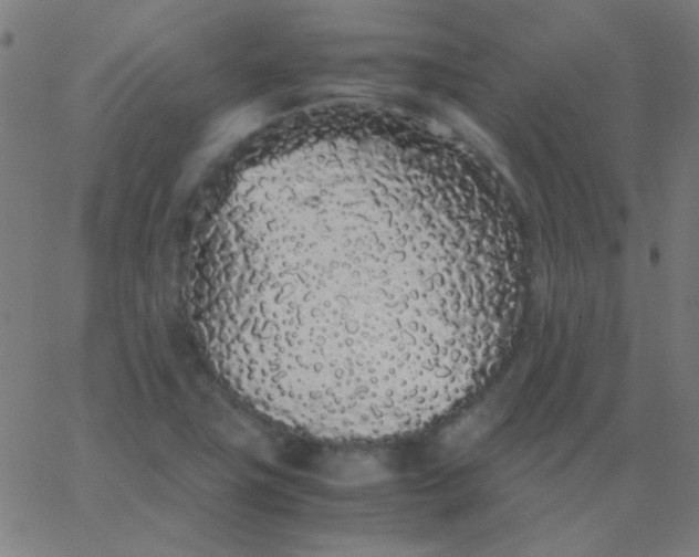 X0000067931411200604271957