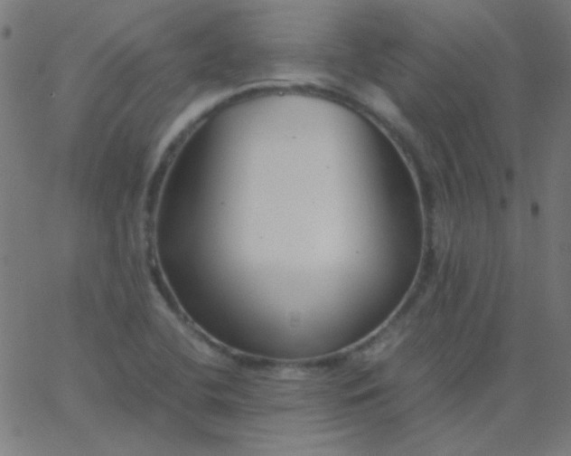 X0000067931412200604271957