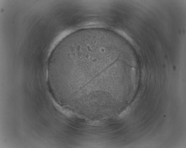 X0000067931413200604271957