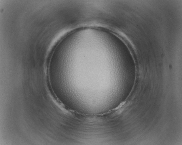 X0000067931416200604271957