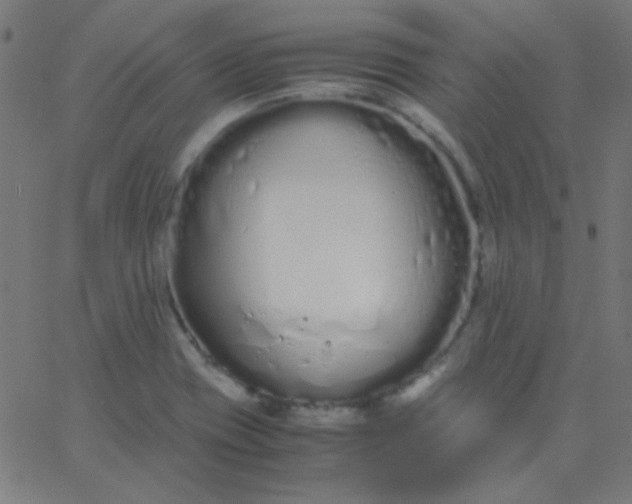 X0000067931417200604271957