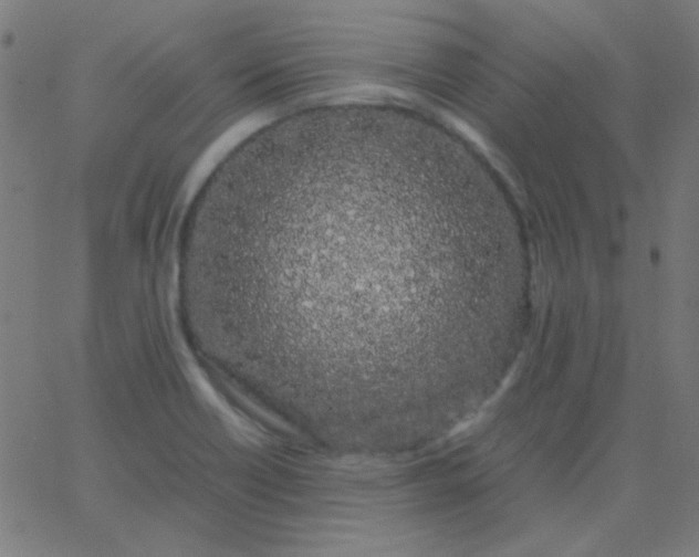 X0000067931418200604271957