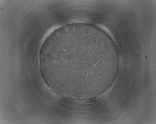 X0000067931419200604271957