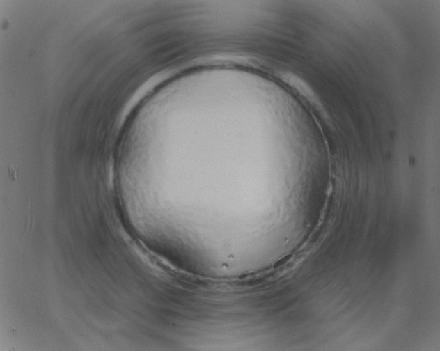 X0000067931420200604271957