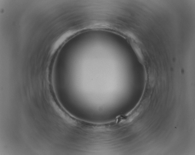 X0000067931422200604271957