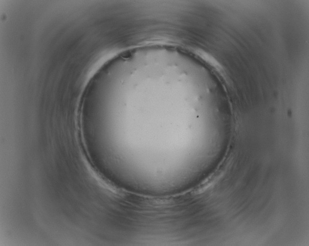 X0000067931423200604271957