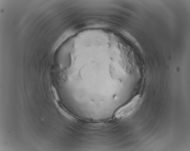 X0000067931425200604271957