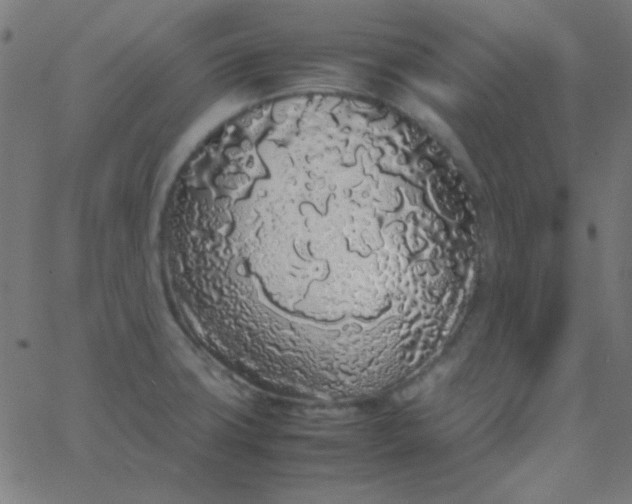 X0000067931427200604271957