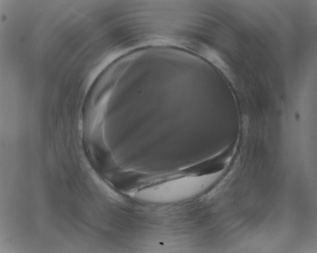 X0000067931428200604271957