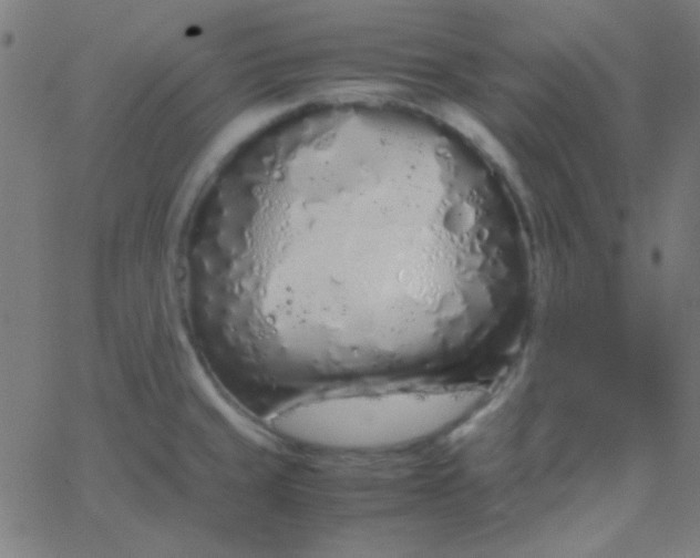 X0000067931429200604271957