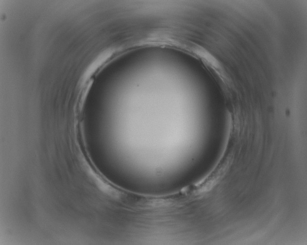 X0000067931430200604271957