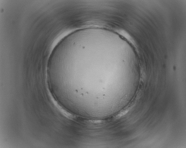 X0000067931431200604271957