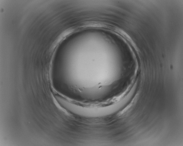 X0000067931433200604271957