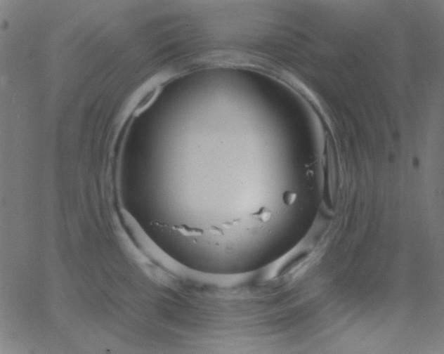 X0000067931434200604271957