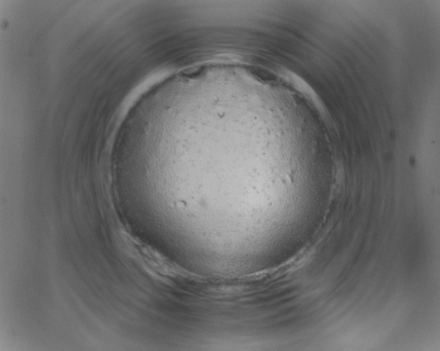 X0000067931435200604271957