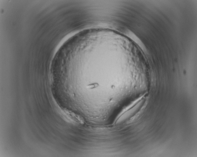 X0000067931436200604271957