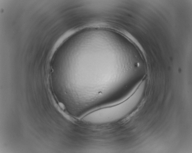 X0000067931437200604271957