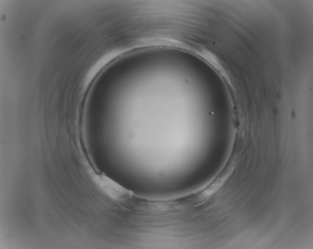 X0000067931438200604271957