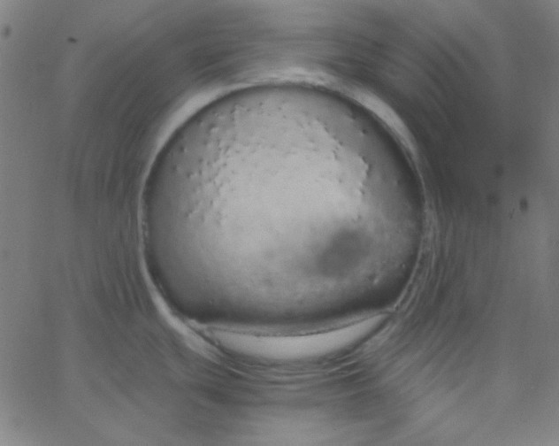 X0000067931439200604271957