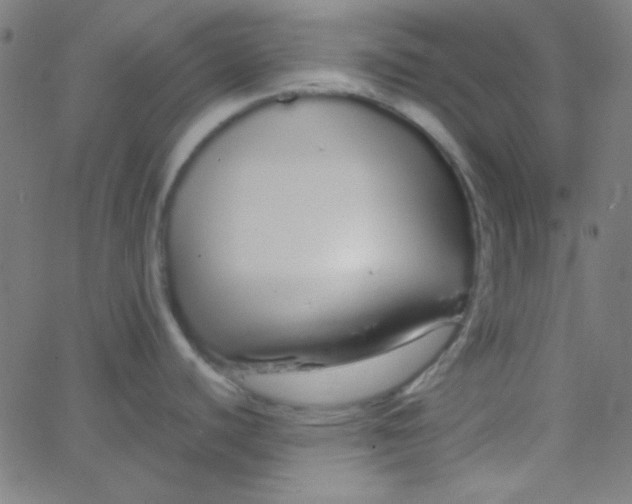 X0000067931440200604271957