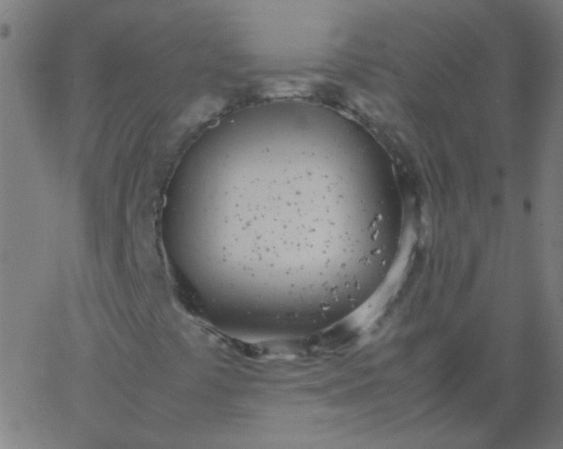 X0000067931441200604271957