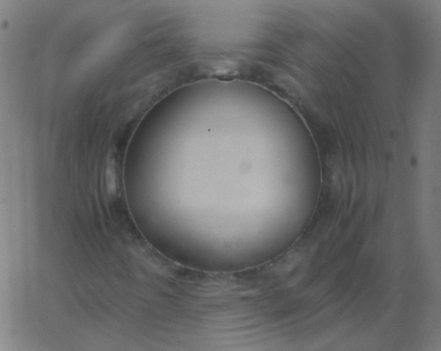 X0000067931442200604271957