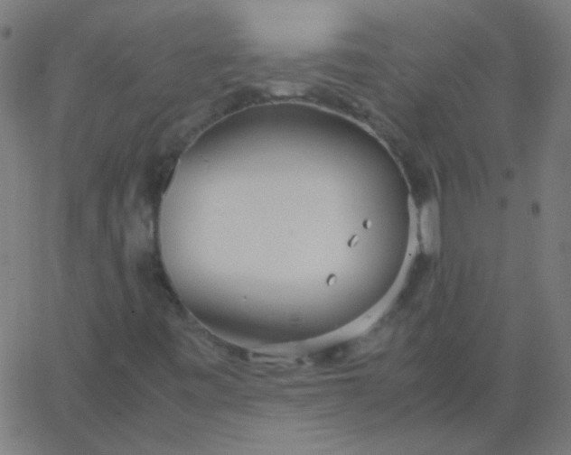 X0000067931443200604271957