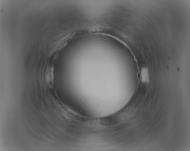 X0000067931444200604271957