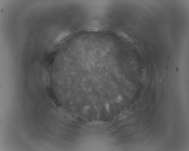 X0000067931446200604271957