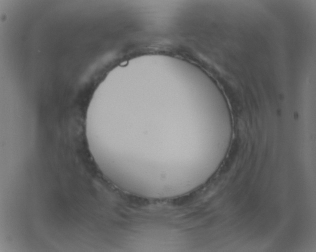 X0000067931447200604271957